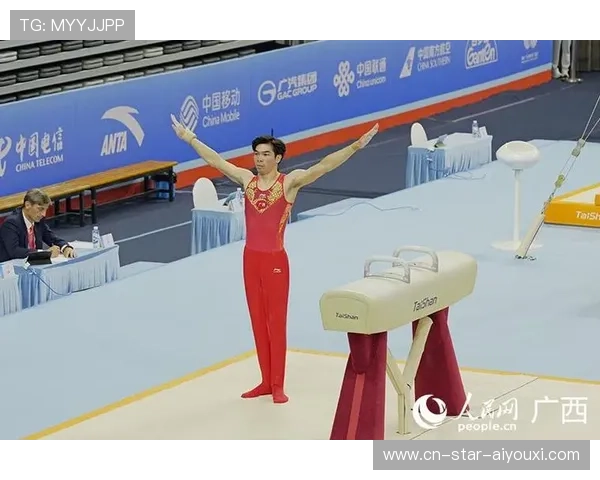 体操鞍马：行云流水的艺术与力量